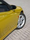 Spiderina2.jpg