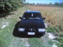 Alfa 75 ant..jpg