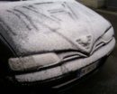 Herbie 02.jpg