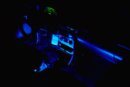 herbie int neons.jpg