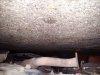 20151220_064116.jpg 20151220_064116.jpg