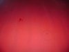 DSC00864.JPG
