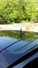IMG_20160507_095406.jpg