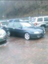 IMG030.JPG