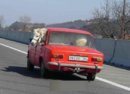 cavallo-auto.jpg