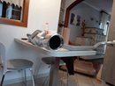 IMG_20161108_132110.jpg