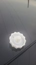 20161206_135143.jpg