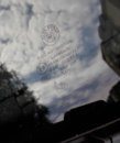 20170327_145616 copia.jpg 20170327_145616 copia.jpg