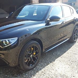 Stelvio Veloce Mr Rugby