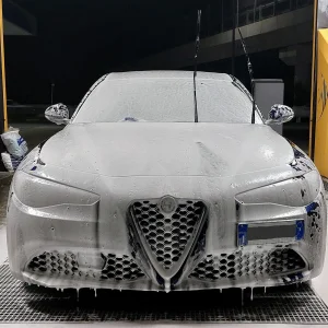 Media '20251014_192738-EDIT.webp' nella categoria 'Alfa Romeo Giulia 2016'