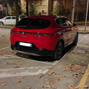 Media 'IMG_20251110_223106.webp' nella categoria 'Alfa Romeo Tonale'