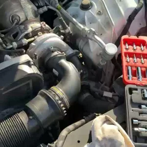 e0ae1ea3-e4ff-4b3d-8efa-73964cceab3f.mov