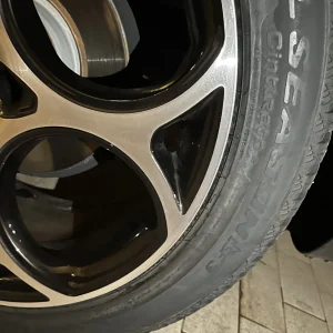 11.webp