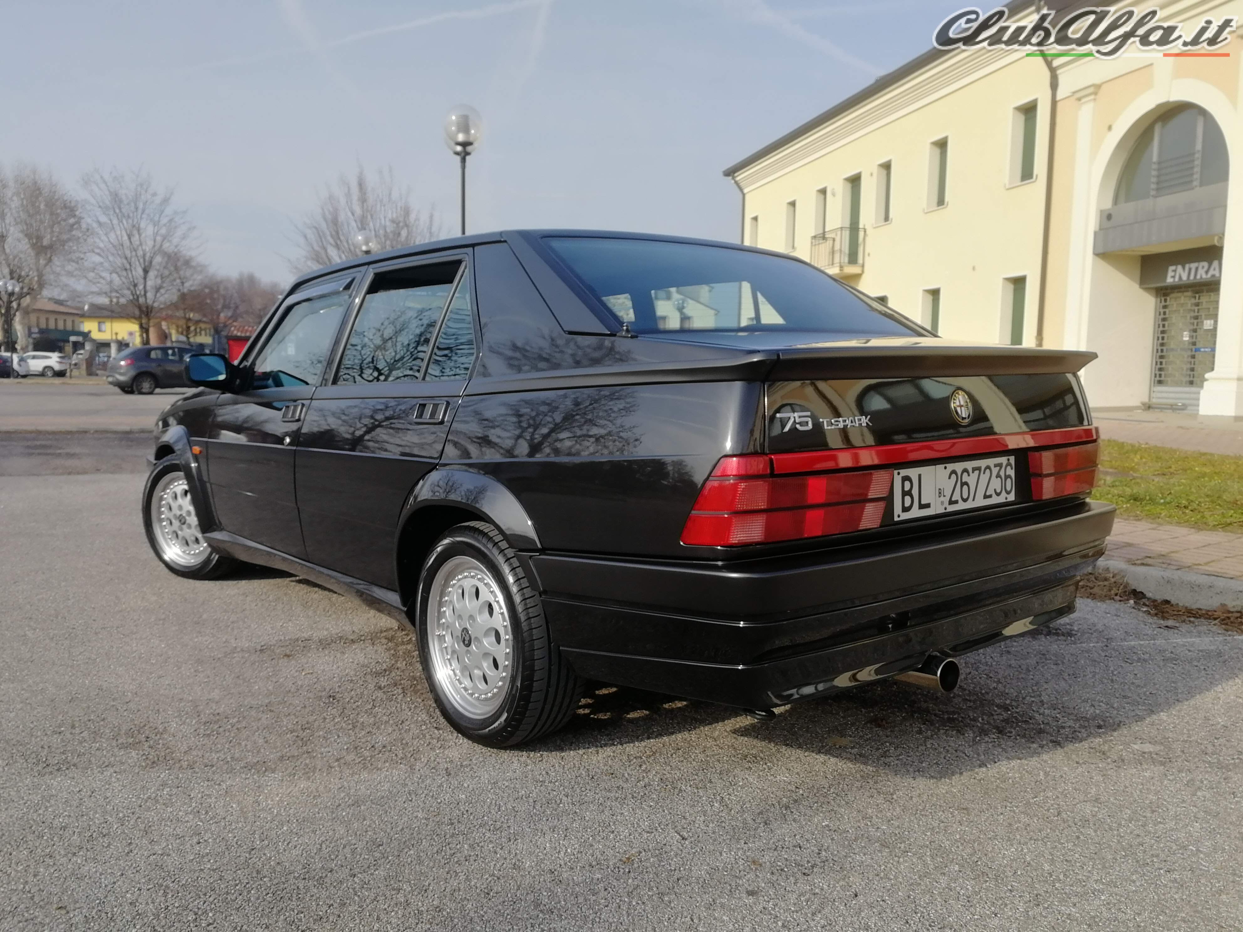 alfa 75 ASN 2